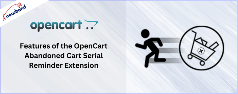 Features of the OpenCart Abandoned Cart Serial Reminder Extension